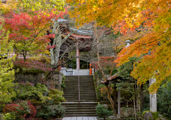 薬院温泉寺