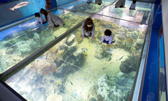 越前松島水族館