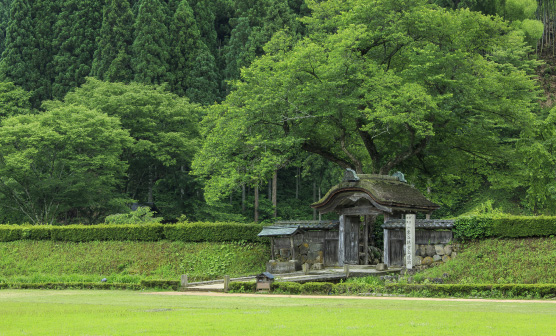 一乗谷朝倉氏遺跡