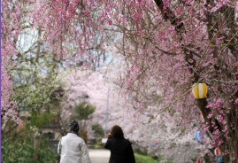 大聖寺